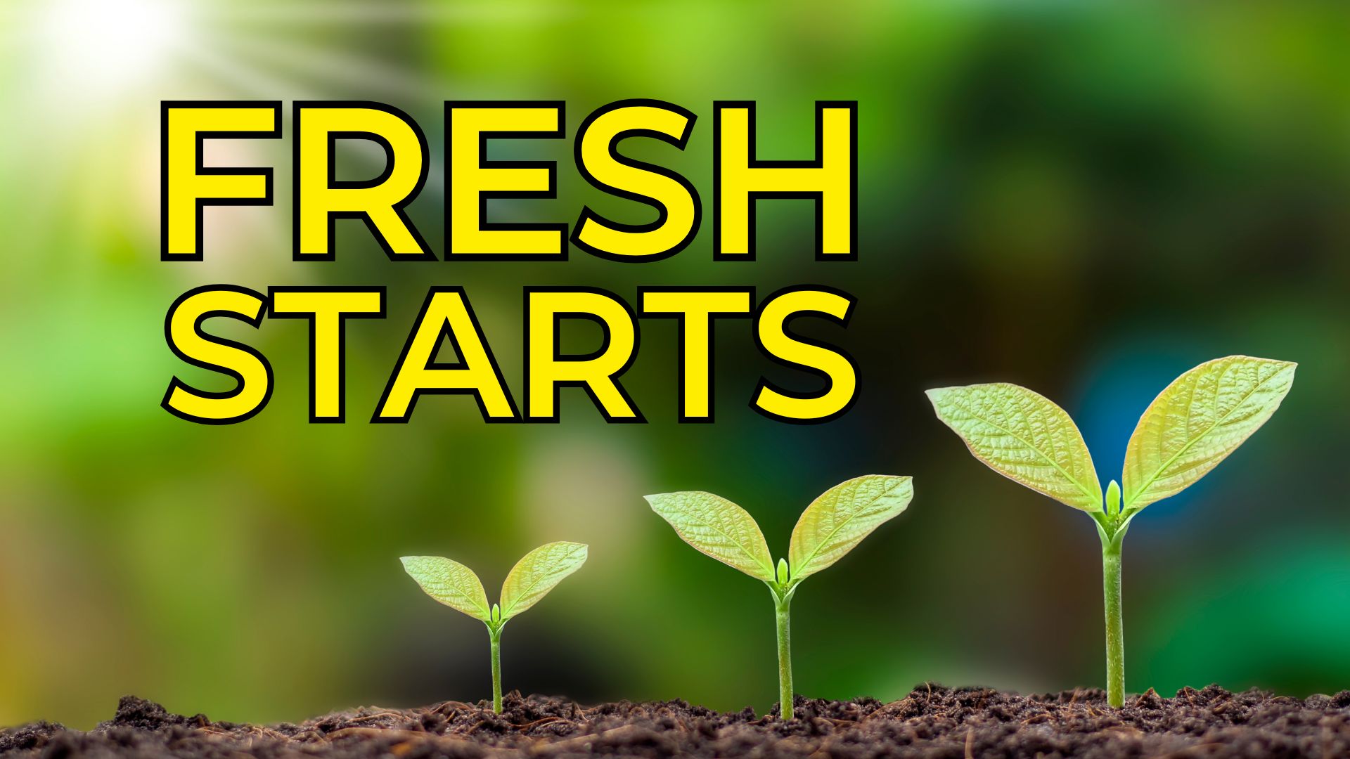 Fresh Start jpg